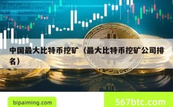 中国最大比特币挖矿（最大比特币挖矿公司排名）