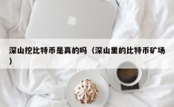 深山挖比特币是真的吗（深山里的比特币矿场）