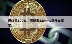 燃烧率100%（燃烧率22mms是什么意思）