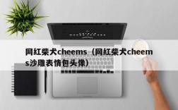 网红柴犬cheems（网红柴犬cheems沙雕表情包头像）