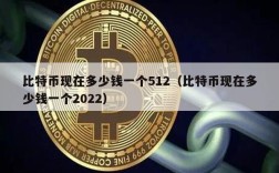 比特币现在多少钱一个512（比特币现在多少钱一个2022）