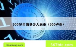 300fil币值多少人民币（300卢币）