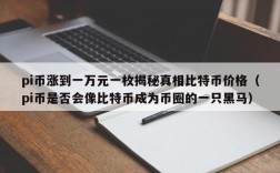 pi币涨到一万元一枚揭秘真相比特币价格（pi币是否会像比特币成为币圈的一只黑马）