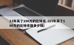 13年买了100万的比特币（13年买了100万的比特币值多少钱）