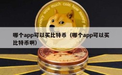 哪个app可以买比特币（哪个app可以买比特币啊）